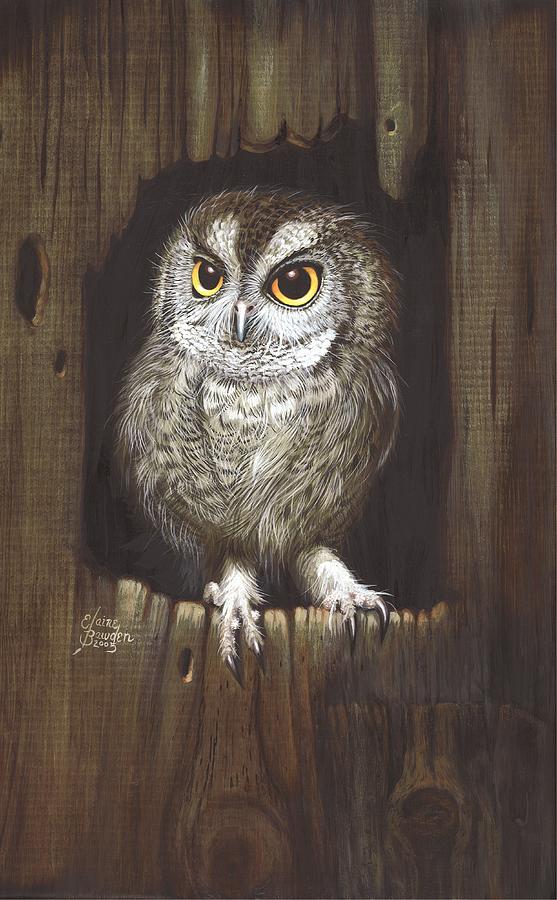 Screech Owl Painting by Elaine Bawden