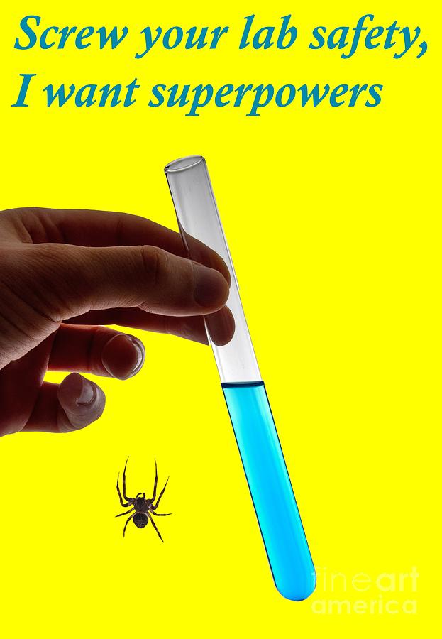 Spider Photograph - Screw your lab safety, I want superpowers  by Ilan Rosen