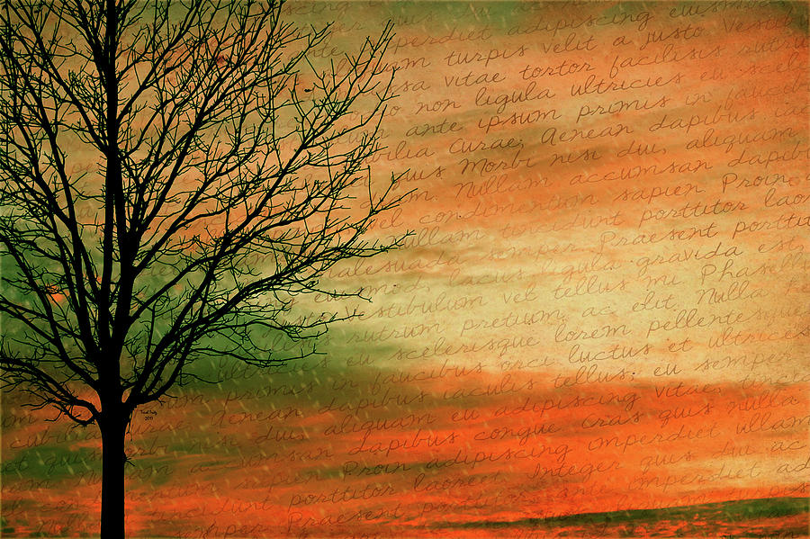 Scribble At Sunset Mixed Media by Trish Tritz