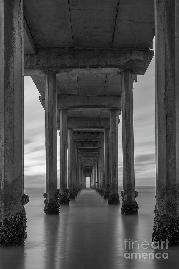 Scripps Pier Pillars BW Photograph by Michael Ver Sprill