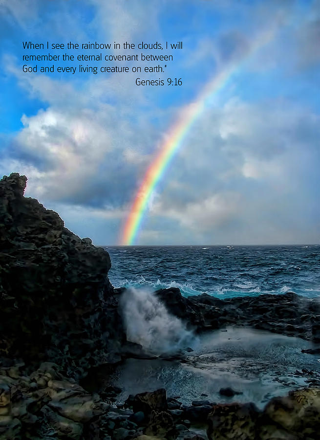 Hawaii Photograph - Scripture and Picture Genesis 9 16 by Ken Smith