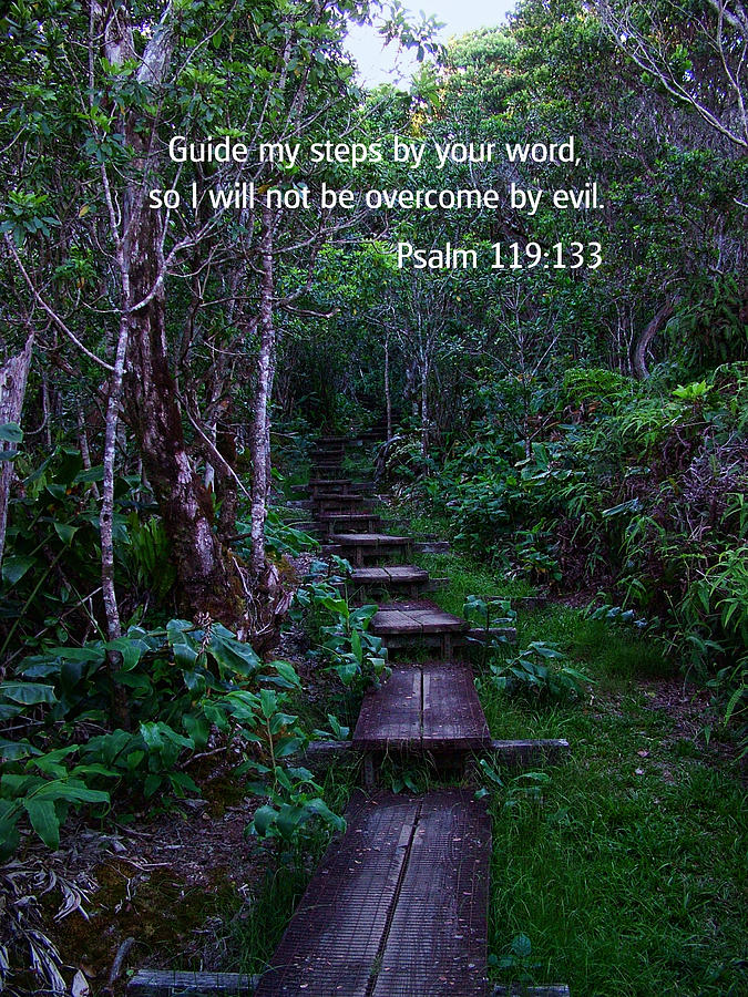 Inspirational Bible Verses Photograph - Scriture and Picture Psalm 119 133 by Ken Smith