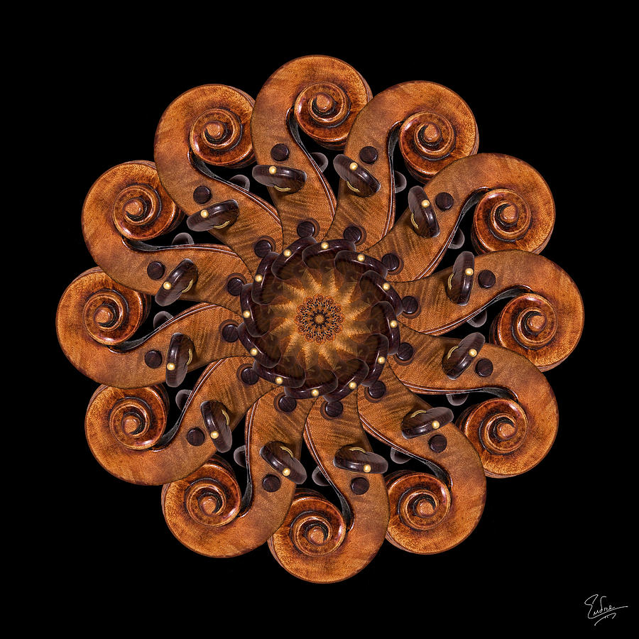 Scroll Flower Photograph by Endre Balogh
