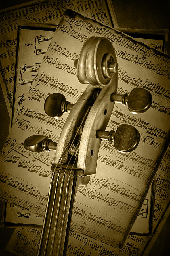 Scroll of a Cello Stringed Instrument in Sepia Photograph by Randall Nyhof