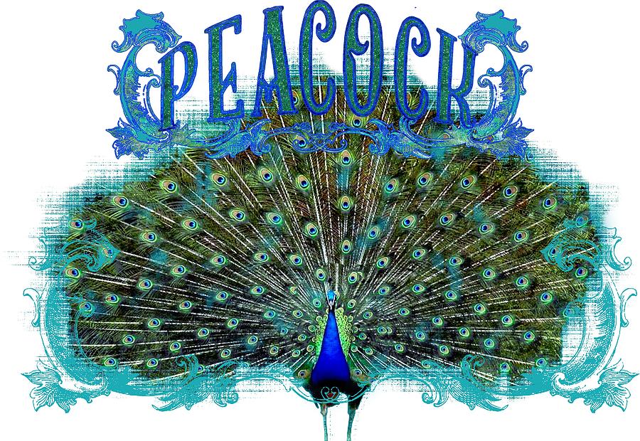 Scroll Swirl Art Deco Nouveau Peacock w Tail Feathers Spread Painting by Audrey Jeanne Roberts
