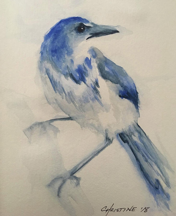 Scrubjay Painting by Christine Marie Rose