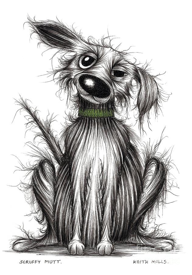 Scruffy mutt Drawing by Keith Mills