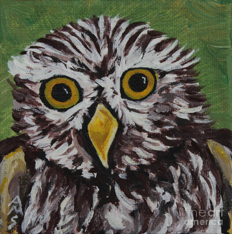 Scruffy Owl Painting by Annette M Stevenson