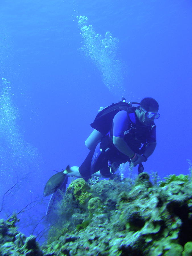 Scuba Diver-6 Photograph by Michael Sepehri - Fine Art America