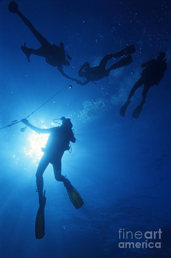 People Photograph - Scuba Divers silhouettes  by Sami Sarkis