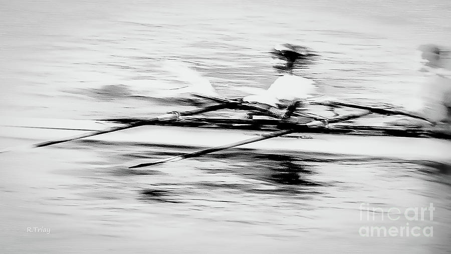 Sculling Olympics Photograph by Rene Triay FineArt Photos