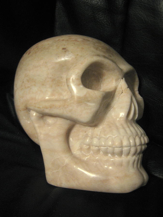 Skull Sculpture - Scully by Donovan Hettich