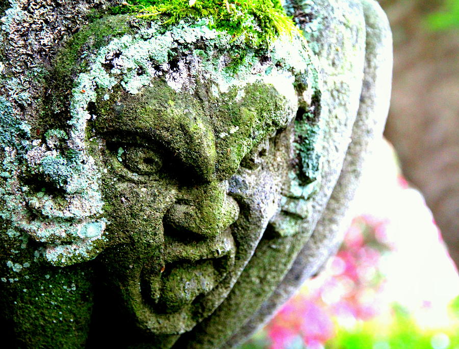 Sculpted Anger Photograph by Valentino Visentini