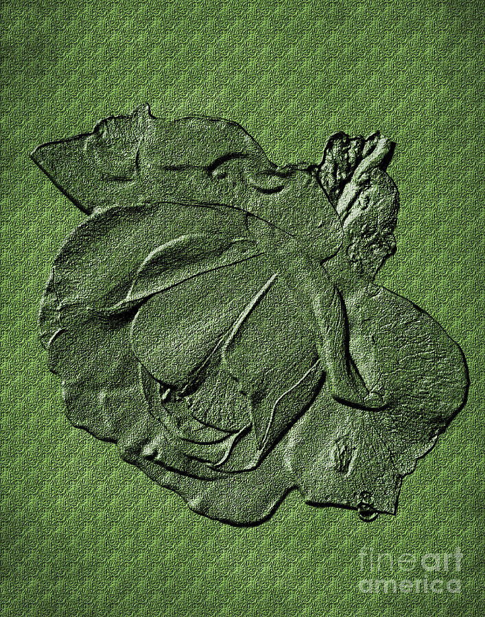 Sculpted Green Rose Digital Art by Smilin Eyes Treasures