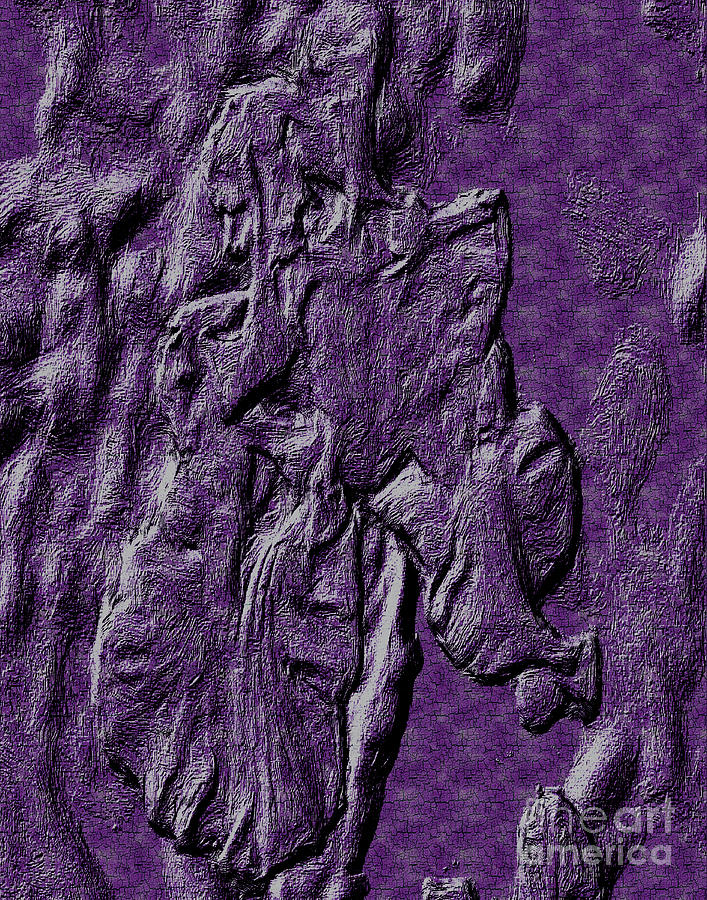 Sculpted Purple Iris Digital Art by Smilin Eyes Treasures