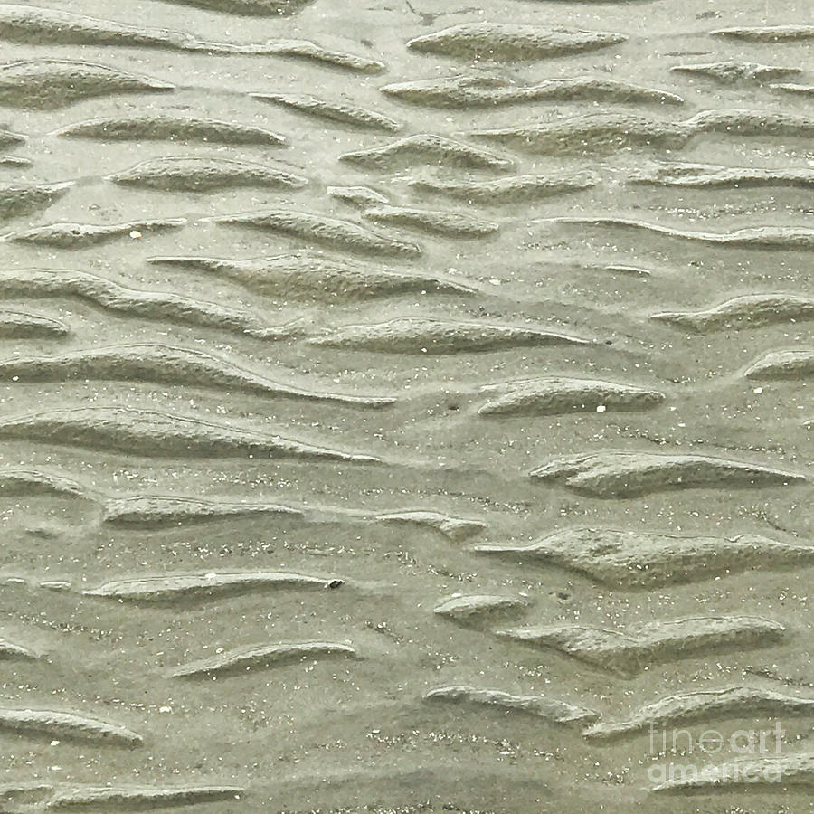 Sculpted Sand Waves  Photograph by Jan Gelders