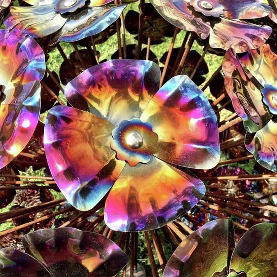 Flowers Still Life Photograph - Sculpture #mobartonpixels  #sculpture by Mo Barton