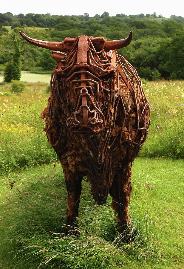 Sculpture of a Bull Photograph by Jeff Townsend