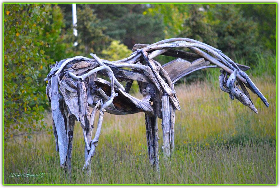 Sculpture of Horse Photograph by Sonali Gangane