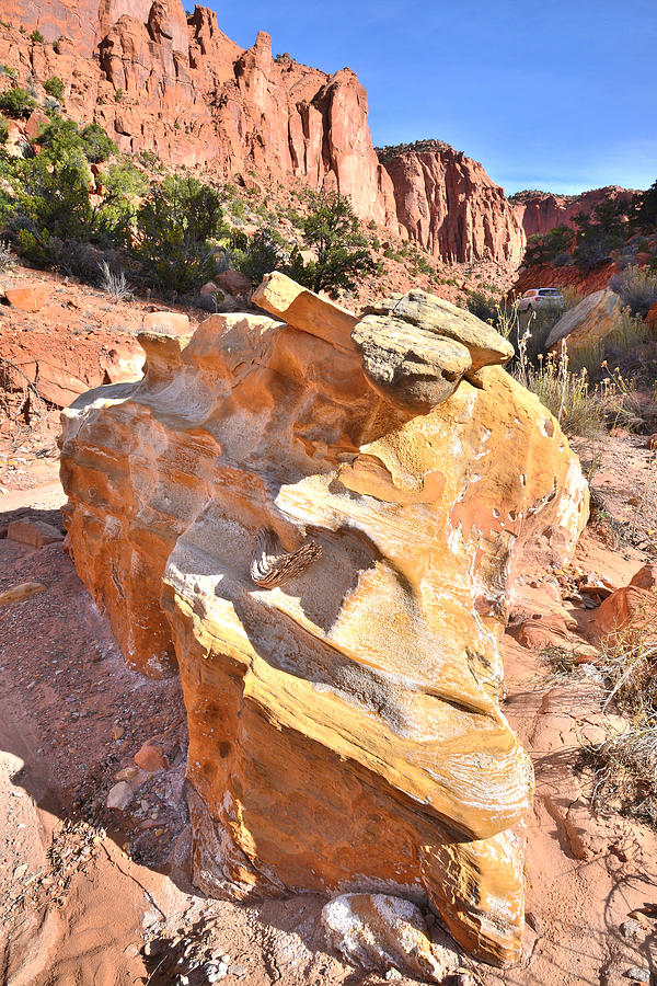 Sculpture Rock Photograph by Ray Mathis