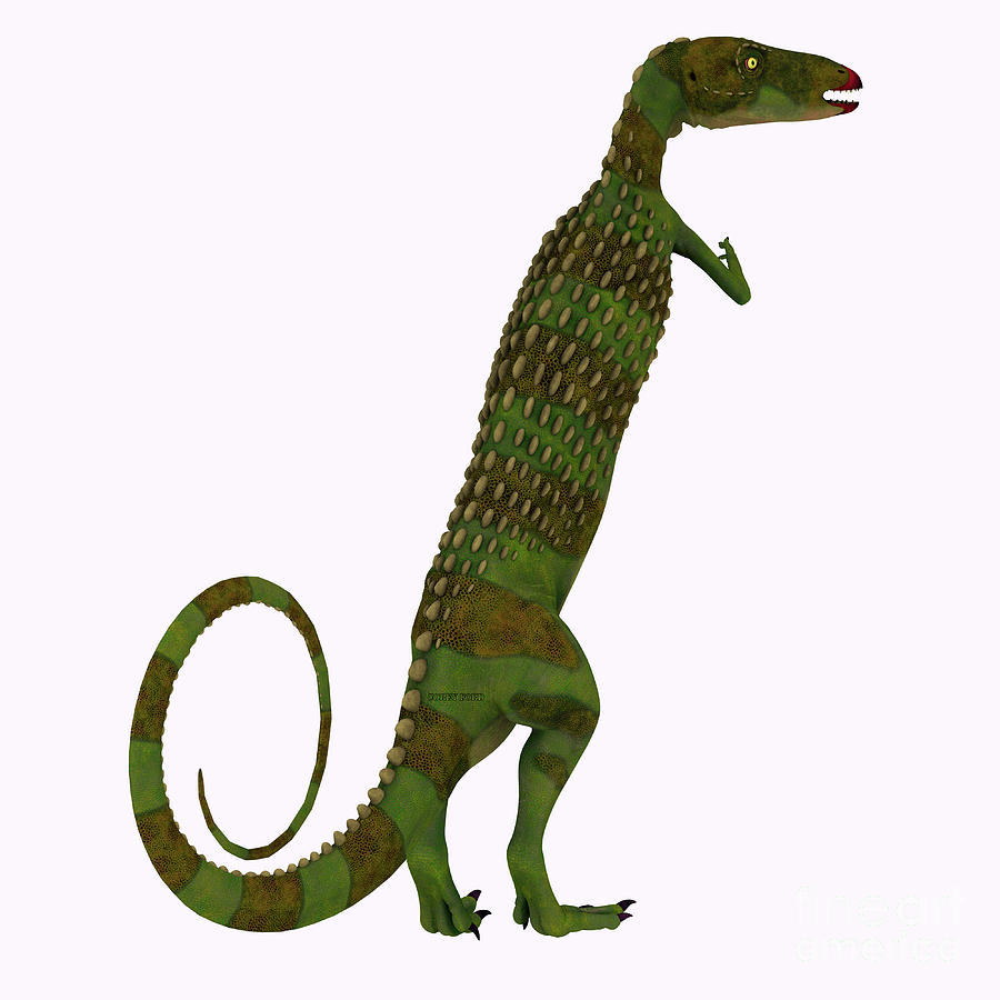 dinosaur with tail on head