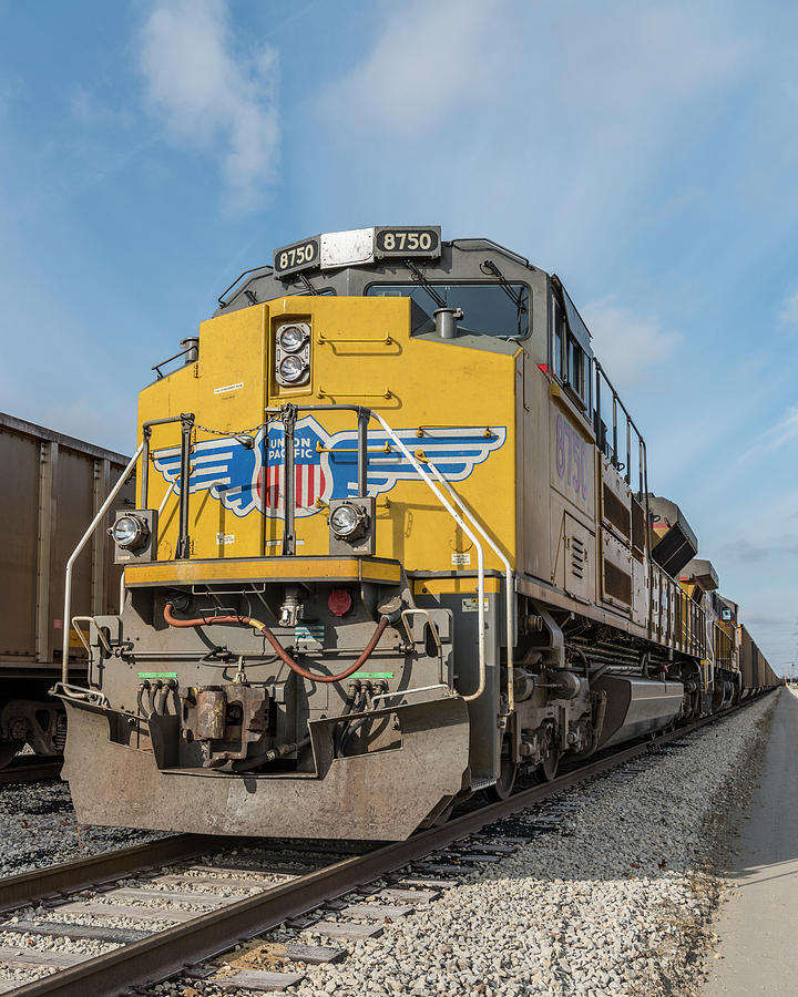 SD70ACE Coal train Photograph by Thomas Visintainer