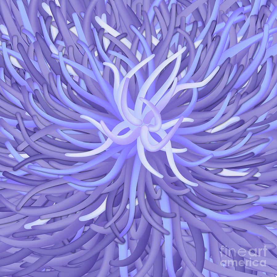 Sea Anemone - Tentacles Digital Art by Michal Boubin