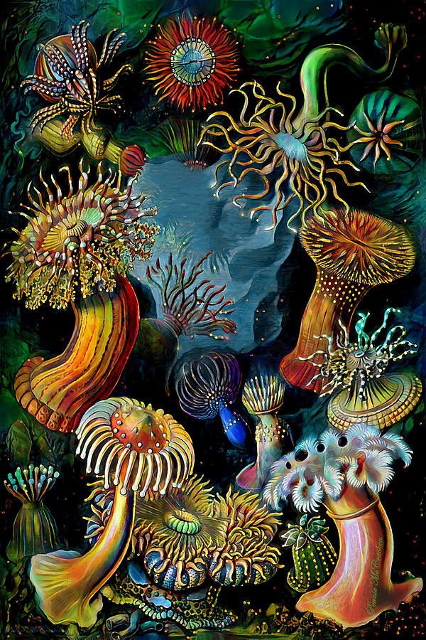 Sea Anemones 2 Digital Art by Pennie McCracken