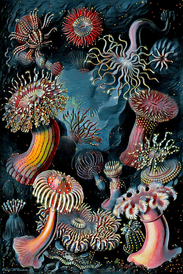 Sea Anemones Digital Art by Pennie McCracken