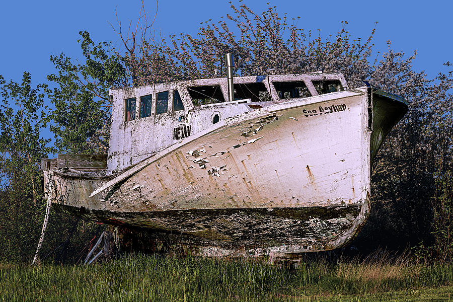 Sea Asylum Seen Better Days Photograph by Marty Saccone