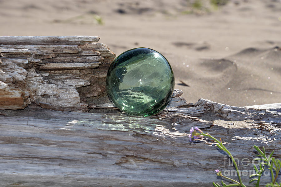 Sea Baubles Photograph by Denise Bruchman