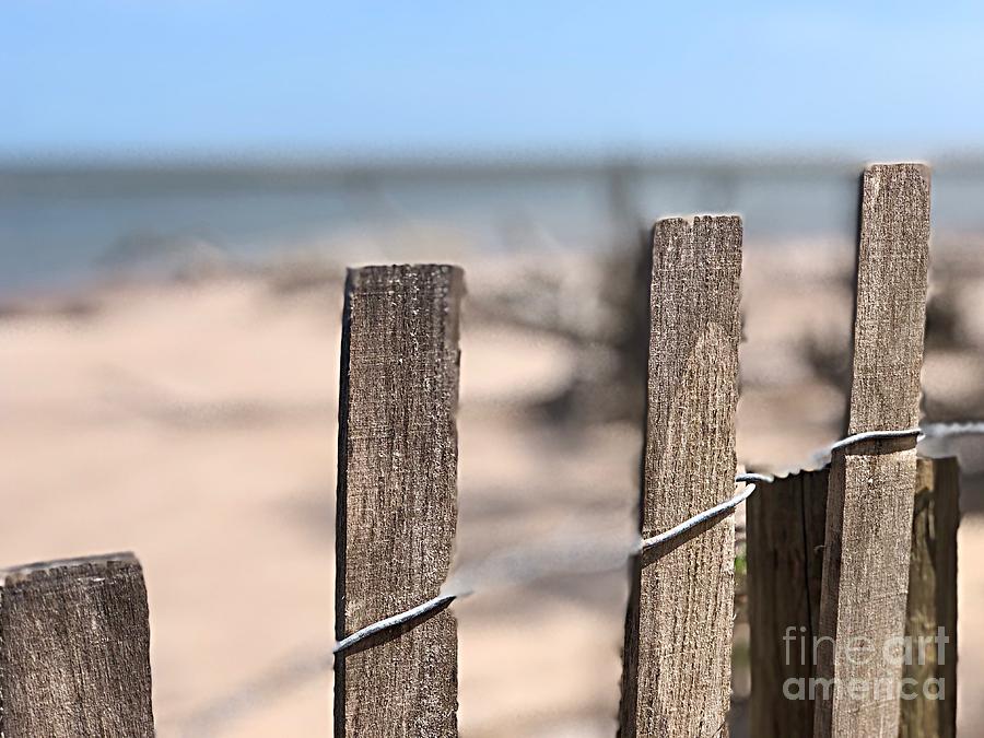 Sea Beyond The Fence Photograph by Carol Riddle