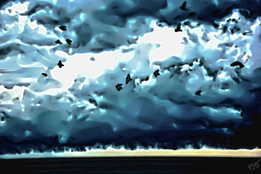 Sea Birds and Storm Clouds Photograph by Gina OBrien