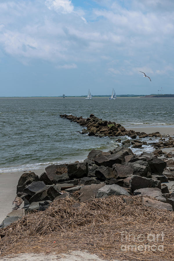 Sea Breeze From Fort Moultrie Photograph