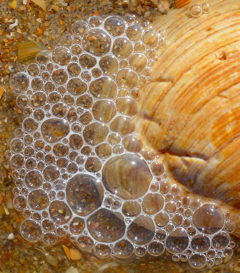 Sea Bubbles Photograph by Gayle Deel