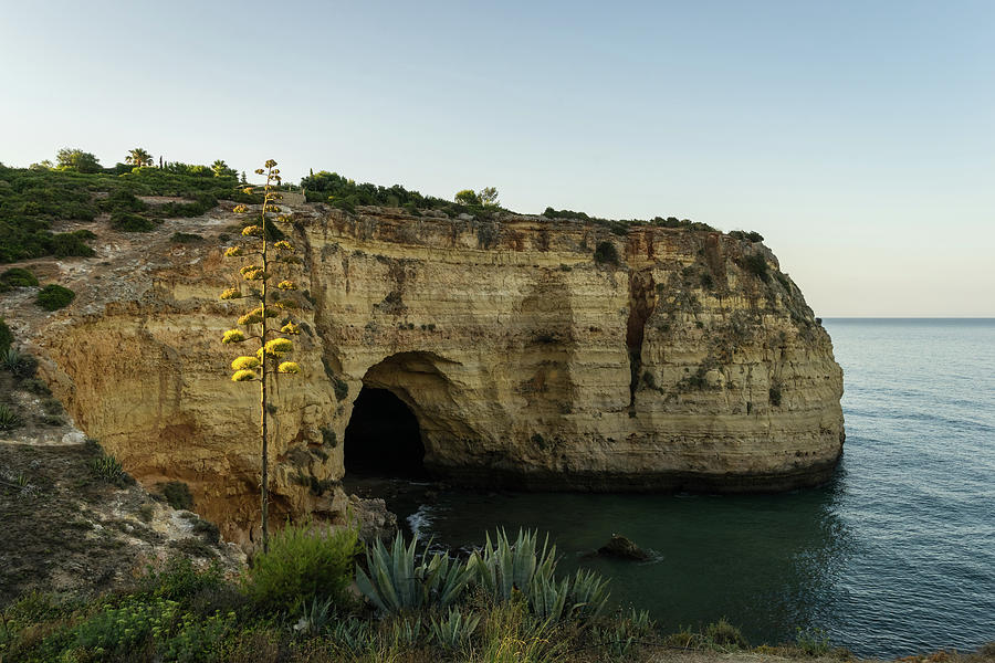 Sea Cave and Agave Bloom Spike - the Magic of Algarve Portugal Photograph by Georgia Mizuleva