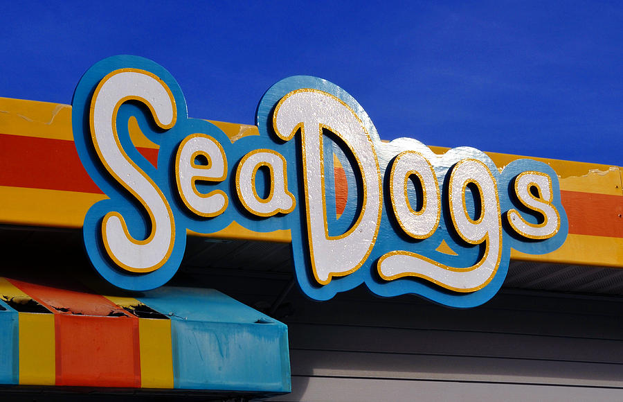Sea Dogs Photograph - Sea Dogs sign by David Lee Thompson