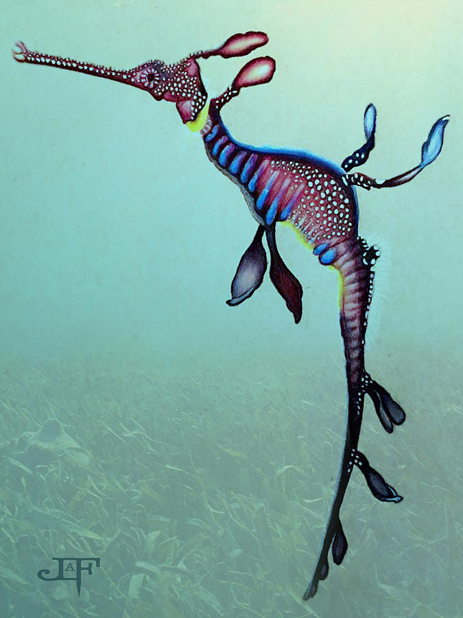 Sea Dragon Digital Art By J Olson Laf
