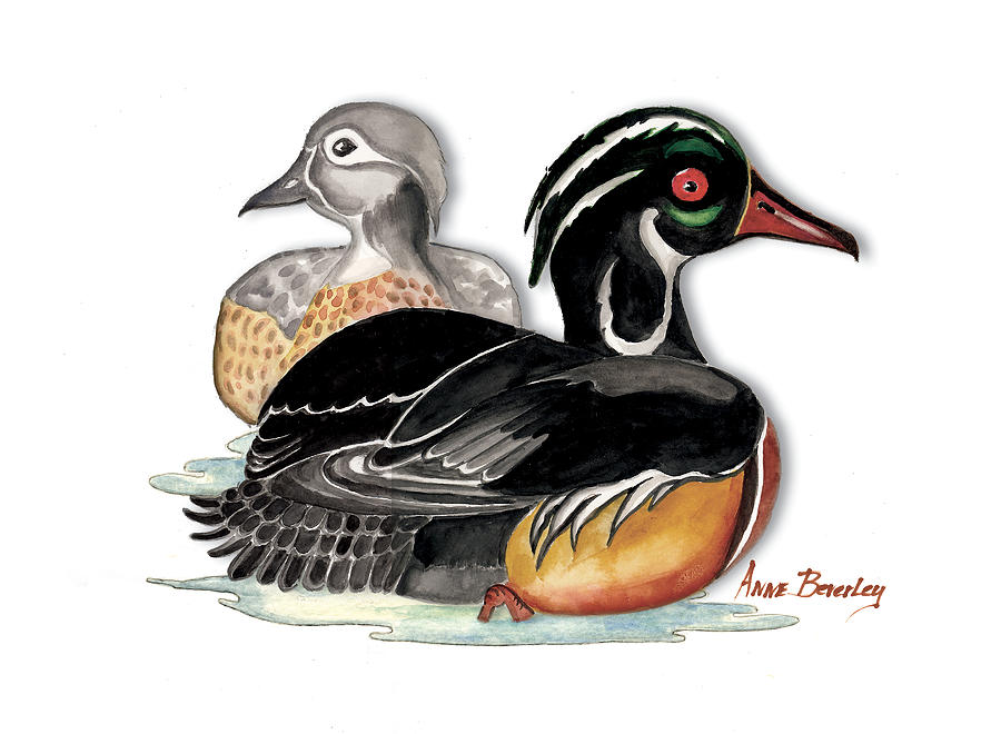 Sea Ducks Painting by Anne Beverley-Stamps