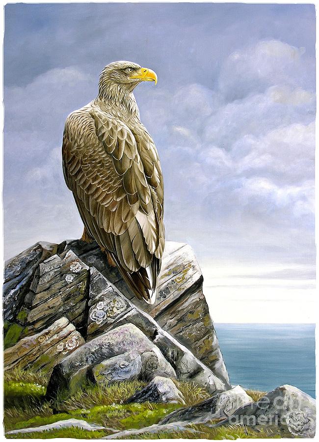 Eagle Painting - Sea Eagle by Dag Peterson
