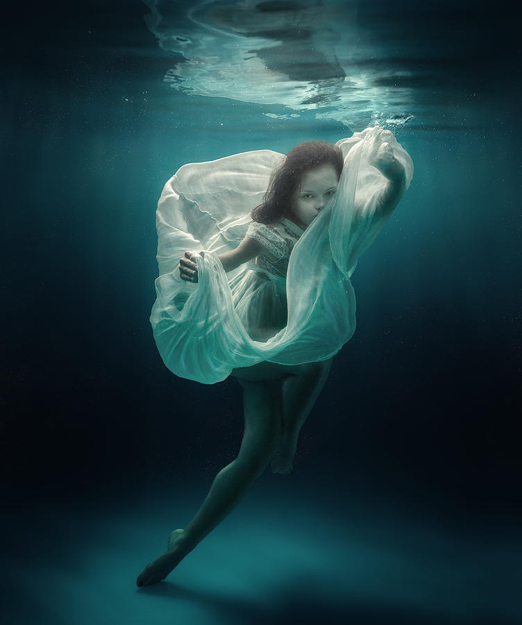 Sea Flower Photograph By Dmitry Laudin Fine Art America 