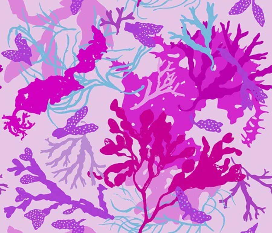 Sea flower- purple Digital Art by Anthony Fishburne