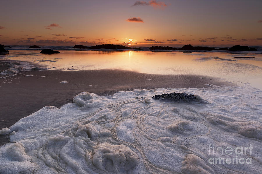 Sea Foam and Sunset Photograph by Masako Metz