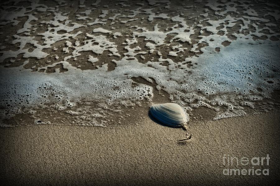 Sea Foam and the Seashell Photograph by Paul Ward