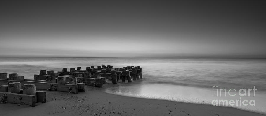 Nature Photograph - Sea Girt Pilings BW by Michael Ver Sprill