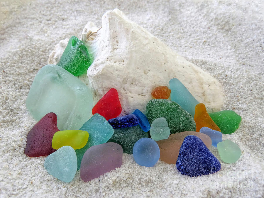 Sea Glass and Conch Photograph by Janice Drew