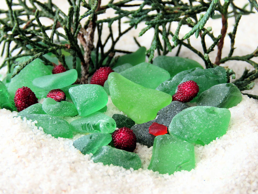 Sea Glass Berries and Pines Photograph by Janice Drew