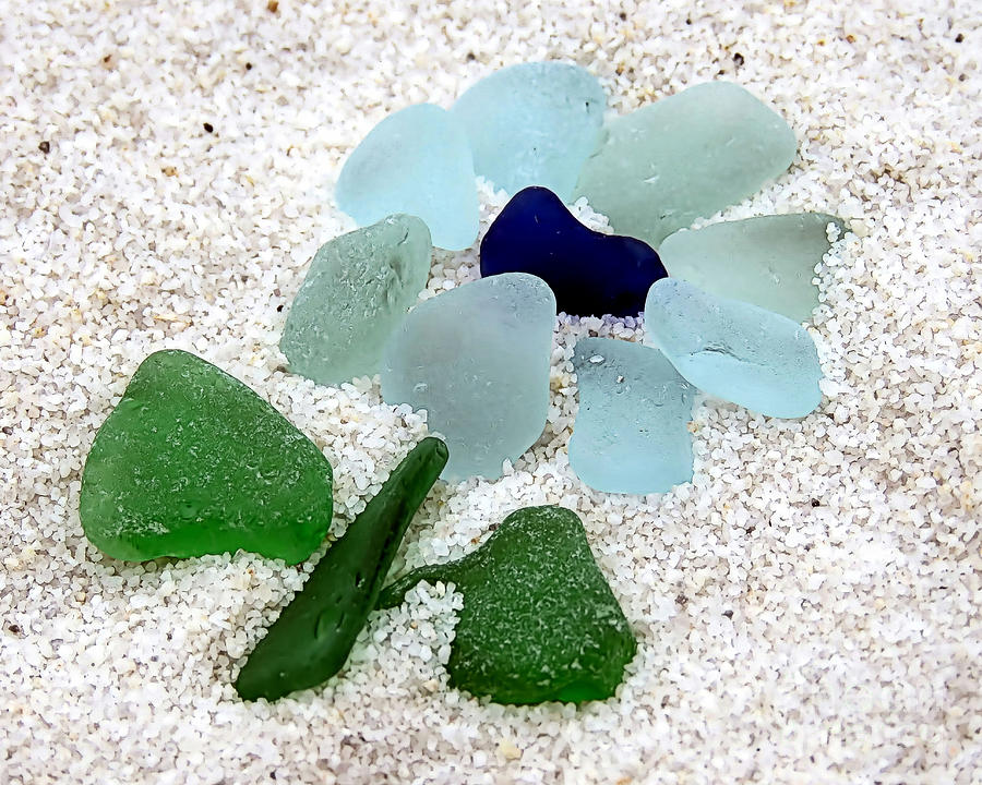 Sea Glass Floral Photograph by Janice Drew