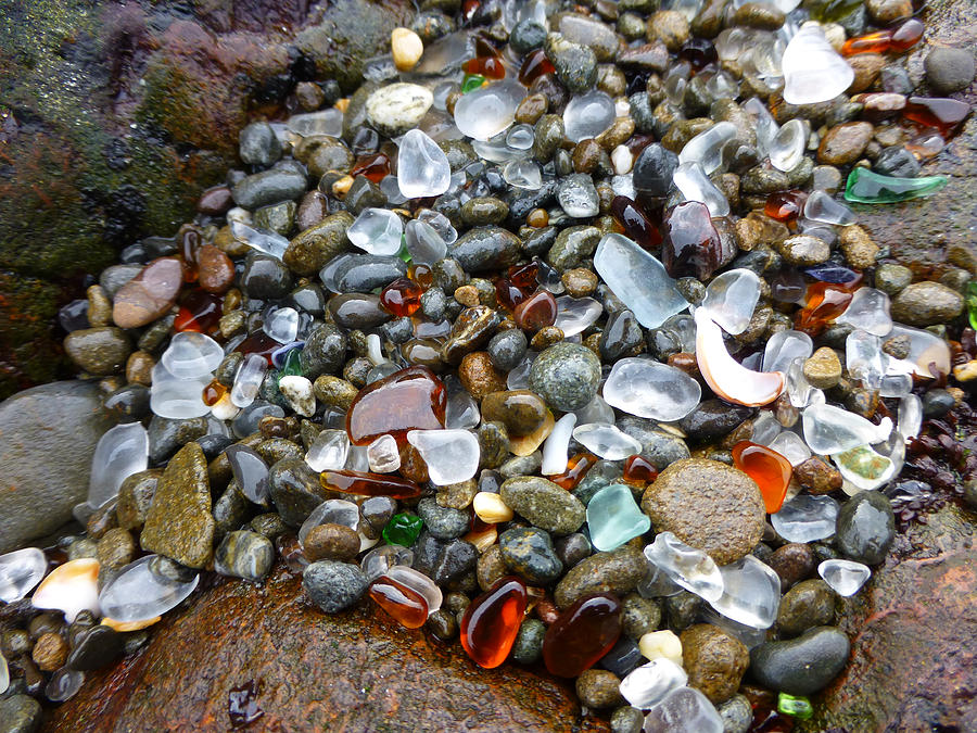 Sea Glass Gems Photograph by Amelia Racca