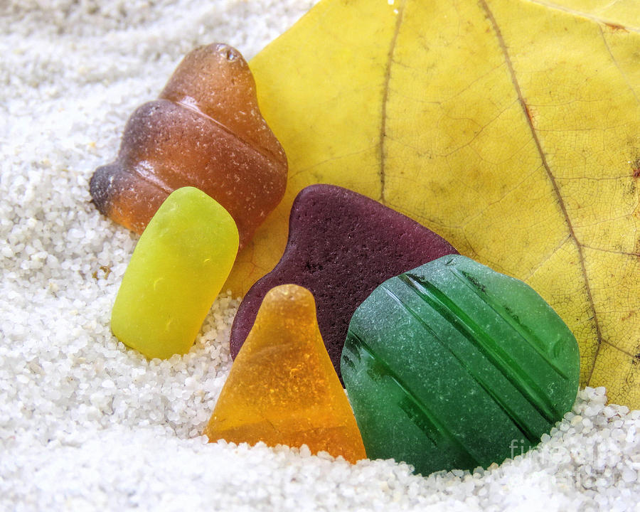 Sea Glass in Fall Colors Photograph by Janice Drew